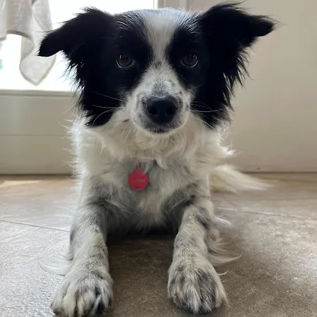 팜스테이 Qui E Ora *