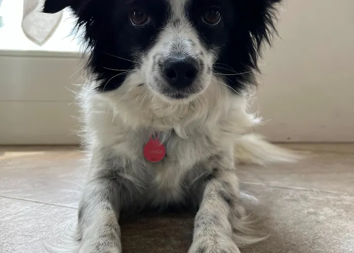 مزرعة للإقامة Qui E Ora *